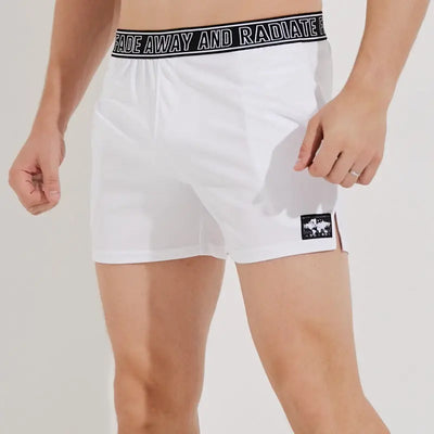 Sports Shorts Plus Size Quick-drying Beach Training Pant null